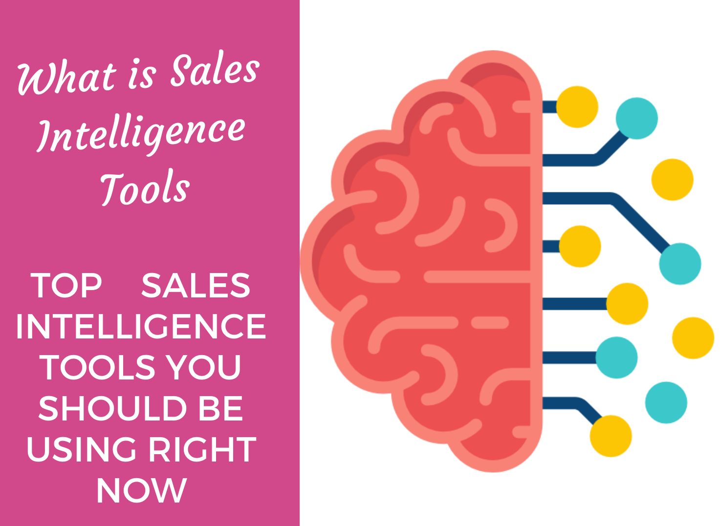 پلتفرم‌های معروف هوش فروش